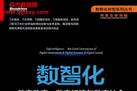 张建锋著数智化数字政府数字经济与数字社会大融合电子书pdfmobiepub格式百度网盘下载学习