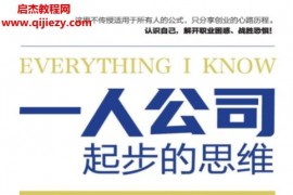 (加)保罗贾维斯著一人公司起步的思维电子书pdfmobiepub格式百度网盘下载学习