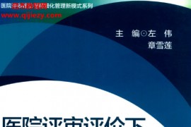 左伟主编医院评审评价下质量改进理论与实践案例集电子书pdf百度网盘下载学习