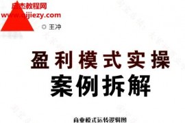 王冲著盈利模式实操案例拆解上下册电子书pdf百度网盘下载学习