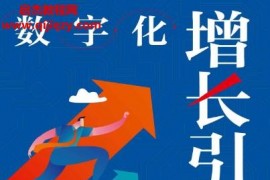 安秋明著数字化增长引擎电子书pdfmobiepub格式百度网盘下载学习