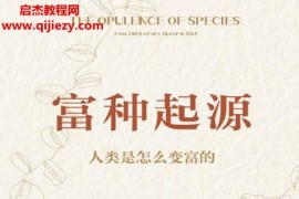 吴乐旻著富种起源人类是怎么变富的电子书pdfmobiepub格式百度网盘下载学习