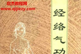 李丁著经络气功电子书pdf百度网盘下载学习