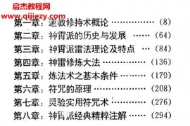 神霄派内功雷法电子书pdf百度网盘下载学习