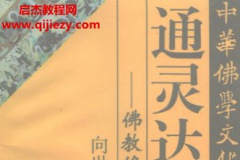 向世山著通灵达神佛教修持术电子书pdf百度网盘下载学习