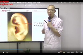 高膏全息耳穴点压术豆疗法视频课程10集百度网盘下载学习