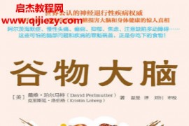(美)戴维珀尔马特著谷物大脑电子书pdf百度网盘下载学习