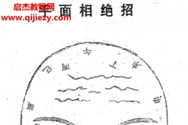 李树哲著手面相绝招大公开电子书pdf百度网盘下载学习