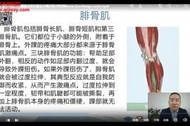 屈永坚肌筋膜疼痛疗法三天训练营网络面授百度网盘下载学习