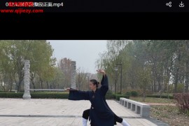 懋勇弦月剑法单手剑剑法剑术基本功+整段教学视频课程45集百度网盘下载学习