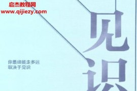 吴军著见识电子书pdfepub格式百度网盘下载学习