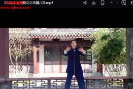 沅芷九转太极劲教学视频课程27集百度网盘下载学习