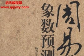 杨力著周易象数预测学电子书pdf百度网盘下载学习