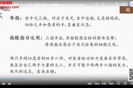 王寻之老师常见病精讲及练脉用脉面授课视频课程12集百度网盘下载学习