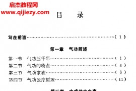 李平著大成功电子书pdf百度网盘下载学习