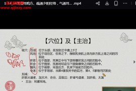 王瑶十五组针灸特效针灸教学视频全集15集百度网盘下载学习