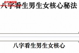 高雅蘭八字看生男生女核心秘法电子书pdf百度网盘下载学习