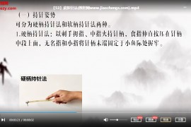 山东协和学院针尖上的中医视频课程54集百度云网盘下载学习