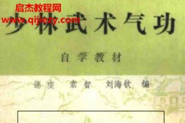 德虔素智刘海钦著少林武术气功自学教材上下册电子书pdf百度网盘下载学习