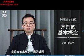 安天宇1264临证法经典名方解析视频课程16集百度网盘下载学习