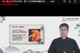 石振强龙武针法视频课程百度网盘下载学习
