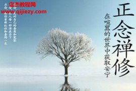 马克威廉姆斯丹尼彭曼著正念禅修电子书pdfepub格式百度网盘下载学习