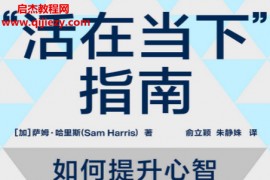 (加)萨姆哈里斯著活在当下指南电子书pdfmobiepub格式百度网盘下载学习