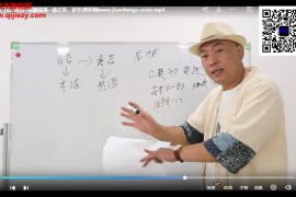 医脉学堂舌诊速学5分钟掌握经典舌象+中药调理视频课程24集