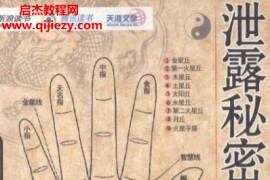 泄露秘密的手珍藏版电子书pdf百度网盘下载学习