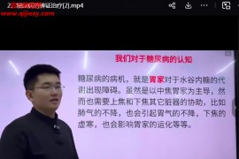 王政15套中医课程合集王政糖尿病肿瘤感冒胃病冠心病肺系疾病视频课程百度网盘下载学习