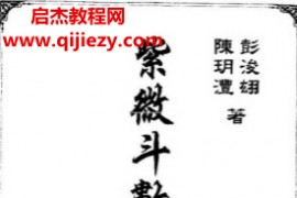 陈玥澧彭浚翃著紫微斗数技法泄天机电子书pdf百度网盘下载学习