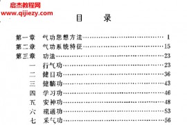 武华文著智力气功电子书pdf百度网盘下载学习