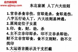 东北盲派八字命理资料电子版pdf婚姻五大法则细节版人丁六法父母兄弟关法则百度网盘下载学习