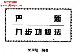 郭周旭著严新九步功秘法电子书pdf百度网盘下载学习