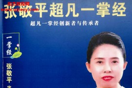 张敬平著超凡一掌经电子书pdf百度网盘下载学习