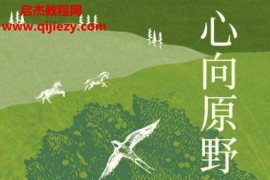 (英)理查德梅比著心向原野自然如何治愈了我电子书pdfmobiepub格式百度网盘下载学习