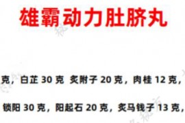 雄霸动力肚脐丸配方电子书pdf百度网盘下载学习