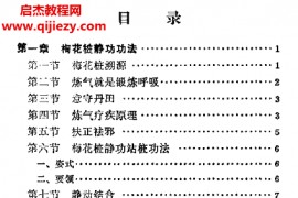 王雪轩著健身益寿梅花桩电子书pdf百度网盘下载学习