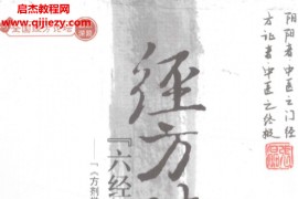鲍艳举花金宝著经方时方六经辨证应用案解电子书pdf百度网盘下载学习