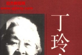 丁玲全集12集合集电子书pdf百度网盘下载学习