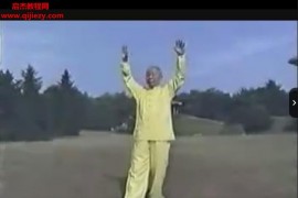 大雁功视频课程10集大雁气功训练示范教程百度网盘下载学习