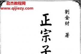 刘金财著正宗子平博士论文电子书pdf百度网盘下载学习
