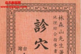 林森山著诊穴大观电子书pdf百度网盘下载学习
