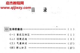 熊志冲著炼武炼气炼禅电子书pdf百度网盘下载学习