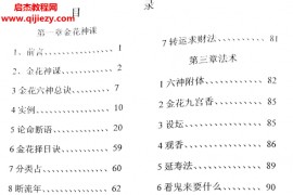 于城道人金城道人著金花宝典电子书pdf百度网盘下载学习