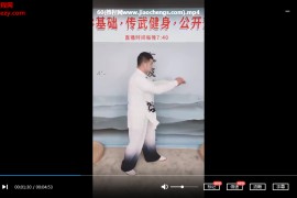 赵龙海《内家拳筑基系统》视频教程61集百度云网盘下载学习