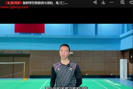 辰南如何掌控羽毛球拍控球的底层逻辑从0到1学习羽毛球视频课程6集百度网盘下载学习