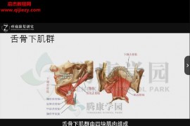 腾康学园异常姿势的解剖评估与治疗系列视频课程35讲百度网盘下载学习