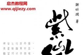 谢昕润著紫微国宝电子书pdf百度网盘下载学习