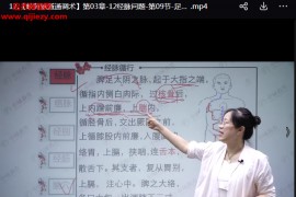 肖红玲岐黄脉道通调术线上课视频课程23集百度网盘下载学习